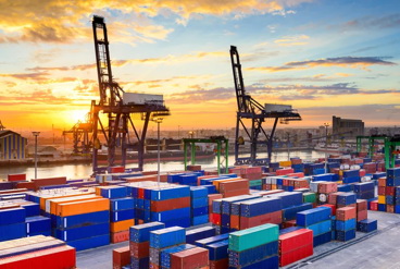 سورتینگ در خدمت صادرات؛ افزایش کیفیت محصولات برای بازارهای بین المللی